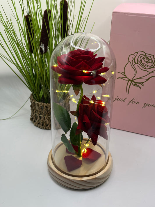 🌹 Cápsula Rosas Sant Jordi – Amor, luz y tradición