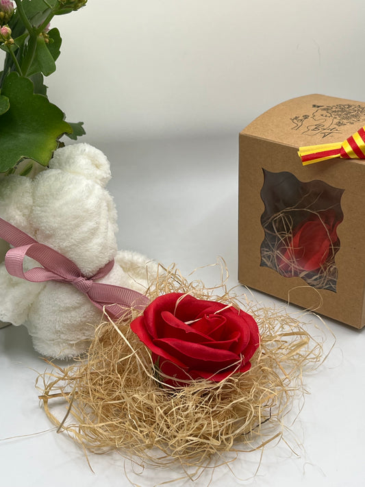 🧸🌹 Cajita Mimos – Edición Sant Jordi